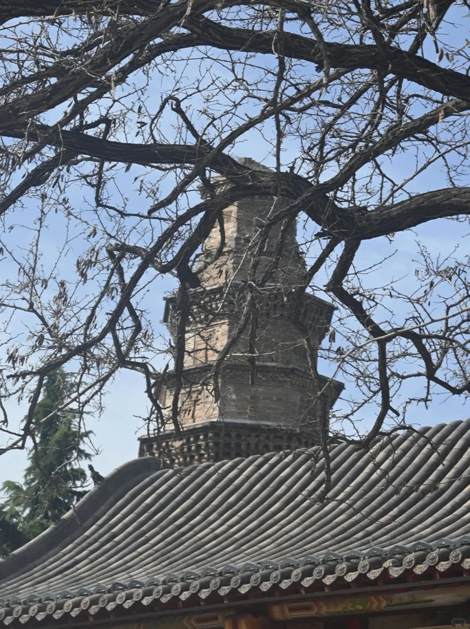 邯郸旅游天花板！9 个景点狠狠爱住了