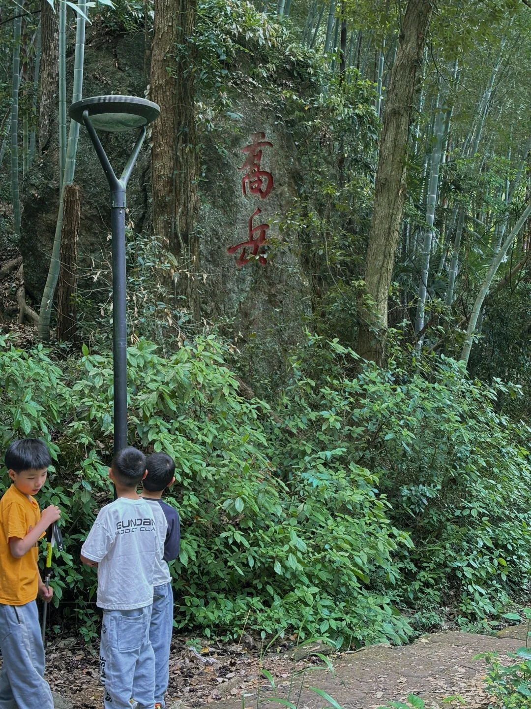 每周一山‼️大金华市内藏有峡谷瀑布悬空栈道