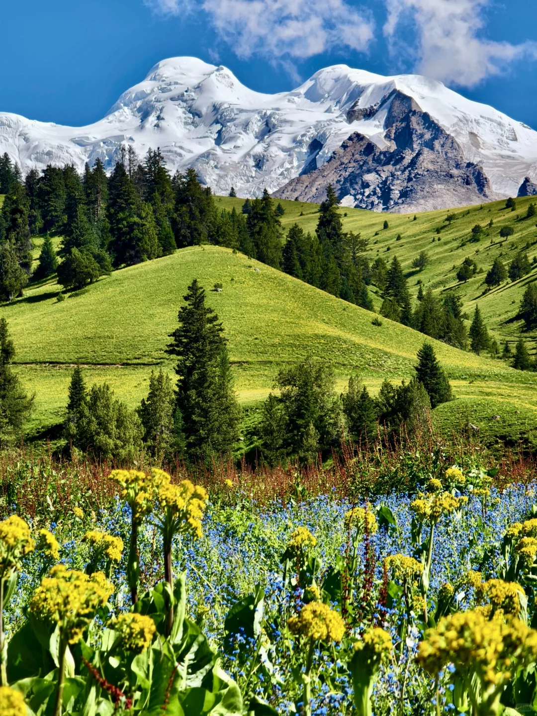 pyq都问疯了，川西爆火线路😭完全不输新疆