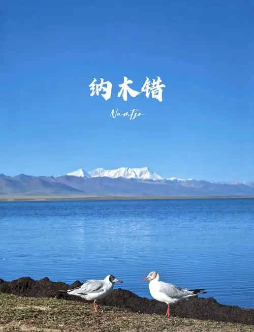 神秘的雪域高原，十大精华景点