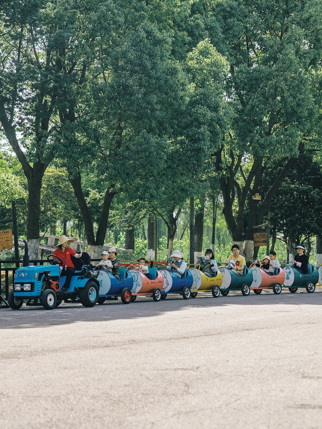 别再问乌村值不值得去了，真实体验过才知道