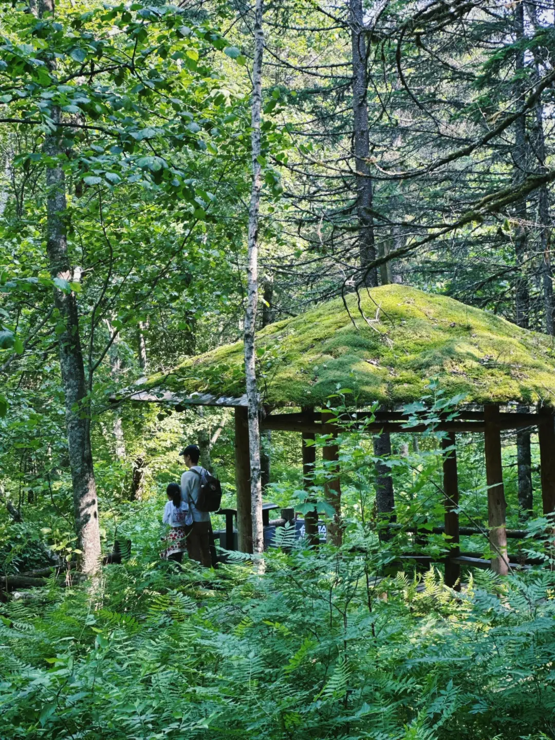 今年暑假，我只带娃去一个地方：伊春🥳
