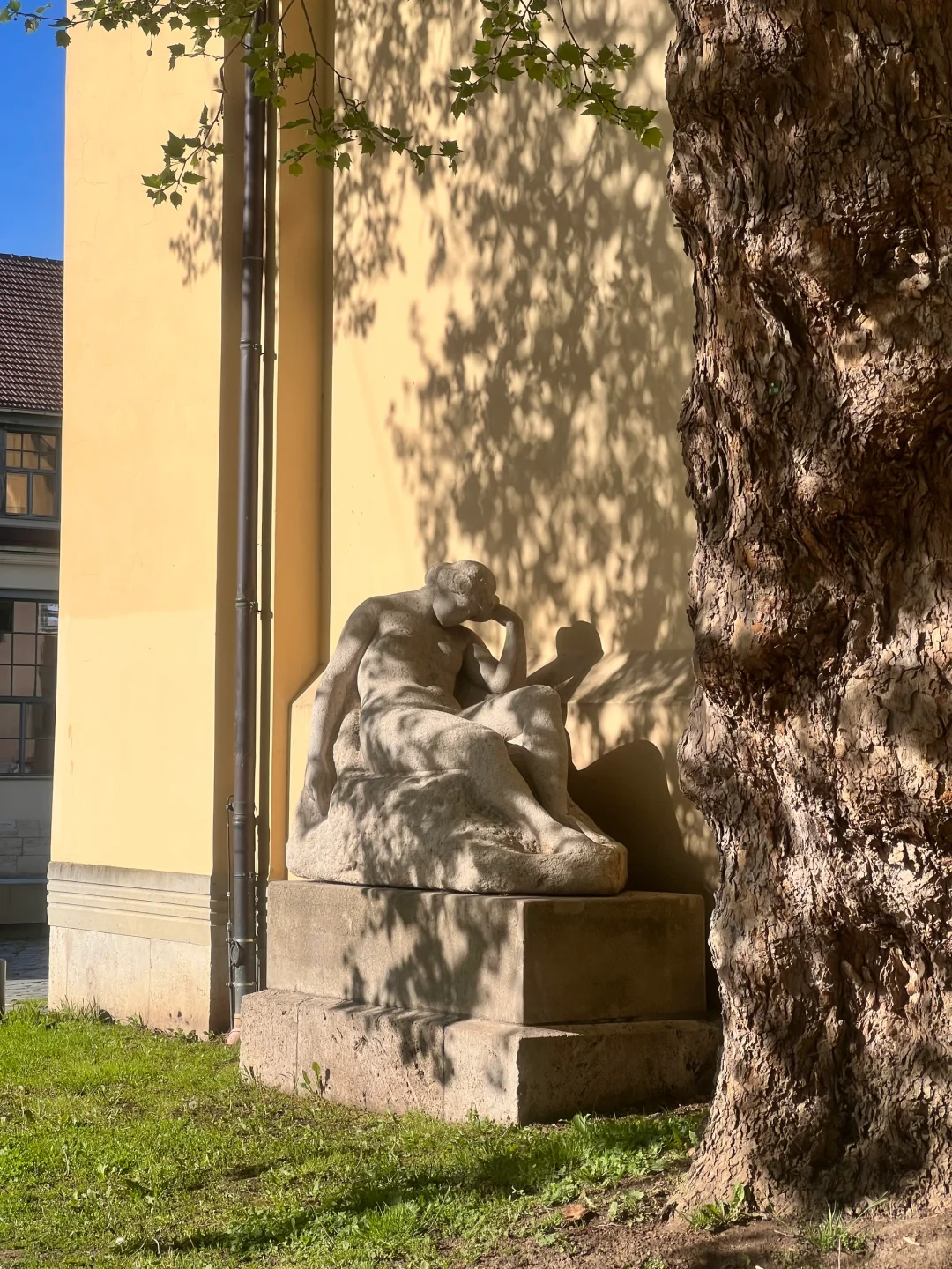 愿意为这一片草地来一万次魏玛