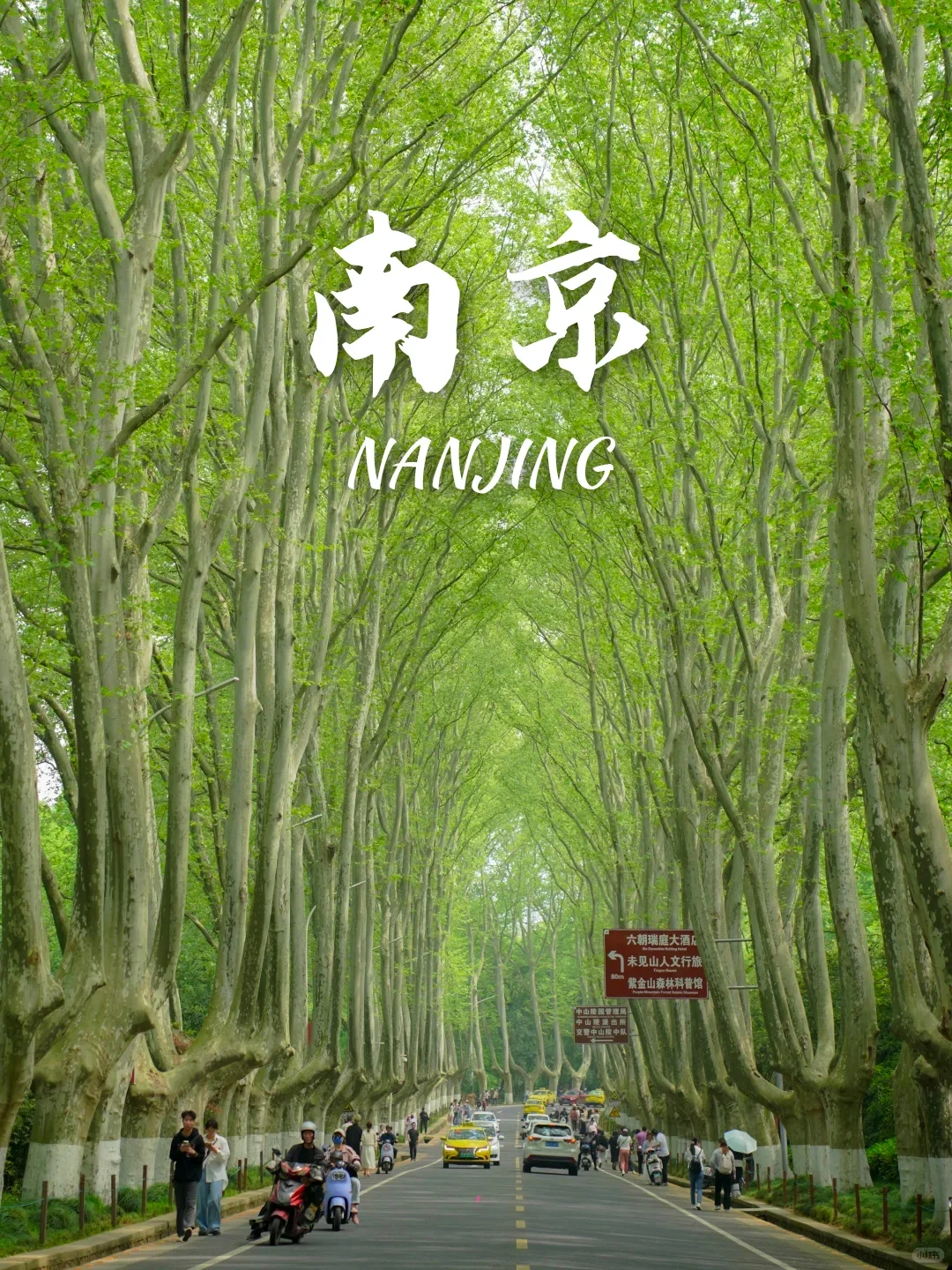 人均500+💰！节后节后反向出游推荐