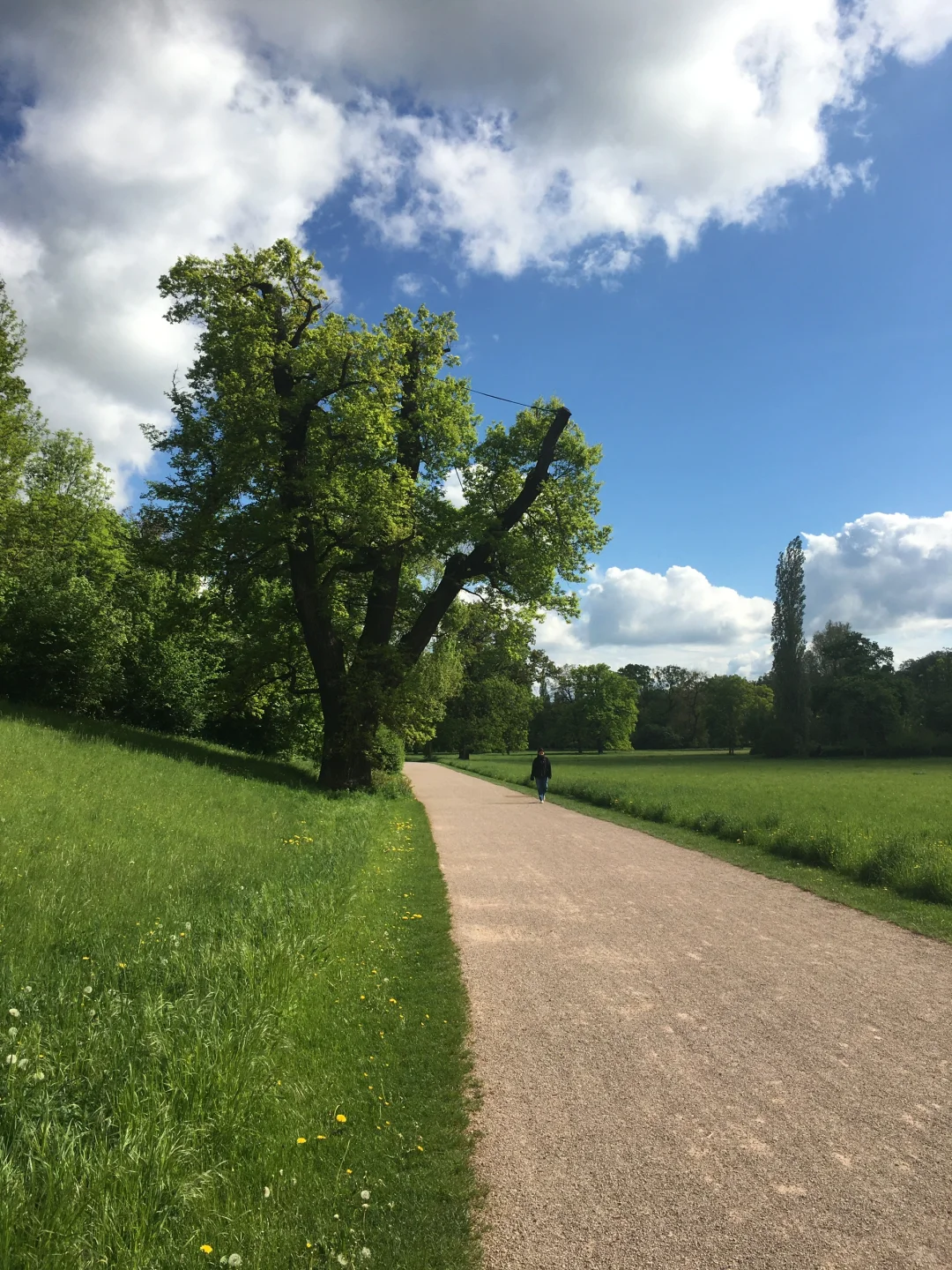 愿意为这一片草地来一万次魏玛