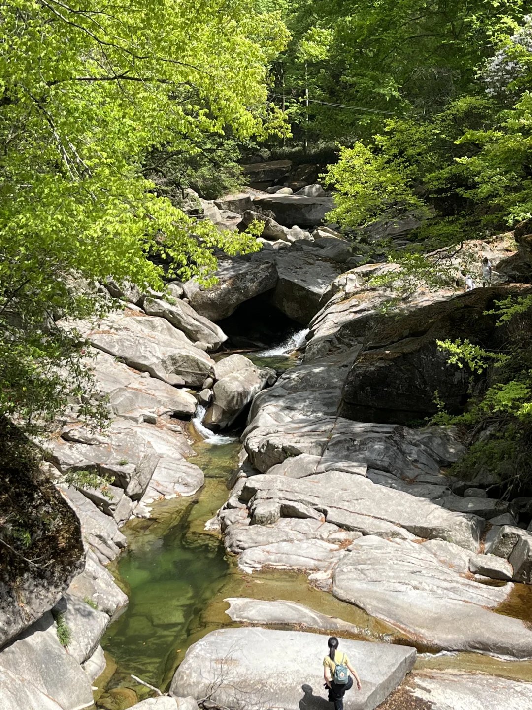 光雾山｜藏在深山的5A级景区⛰️