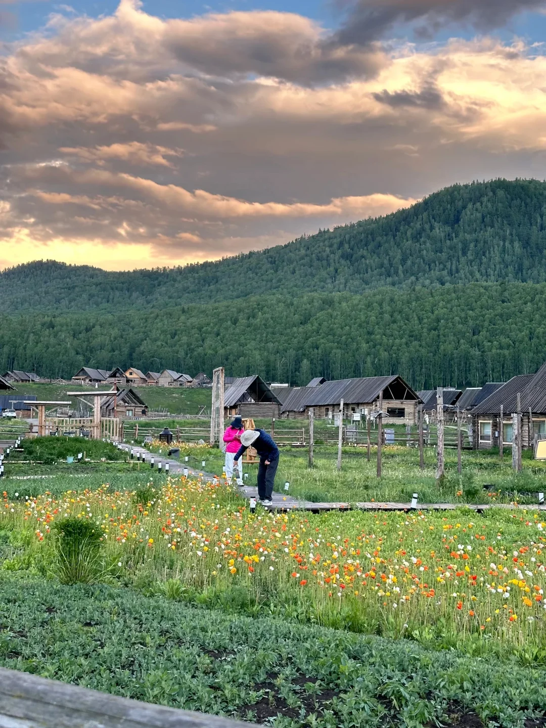 新疆逃难已回，说点让人奔溃的😭事