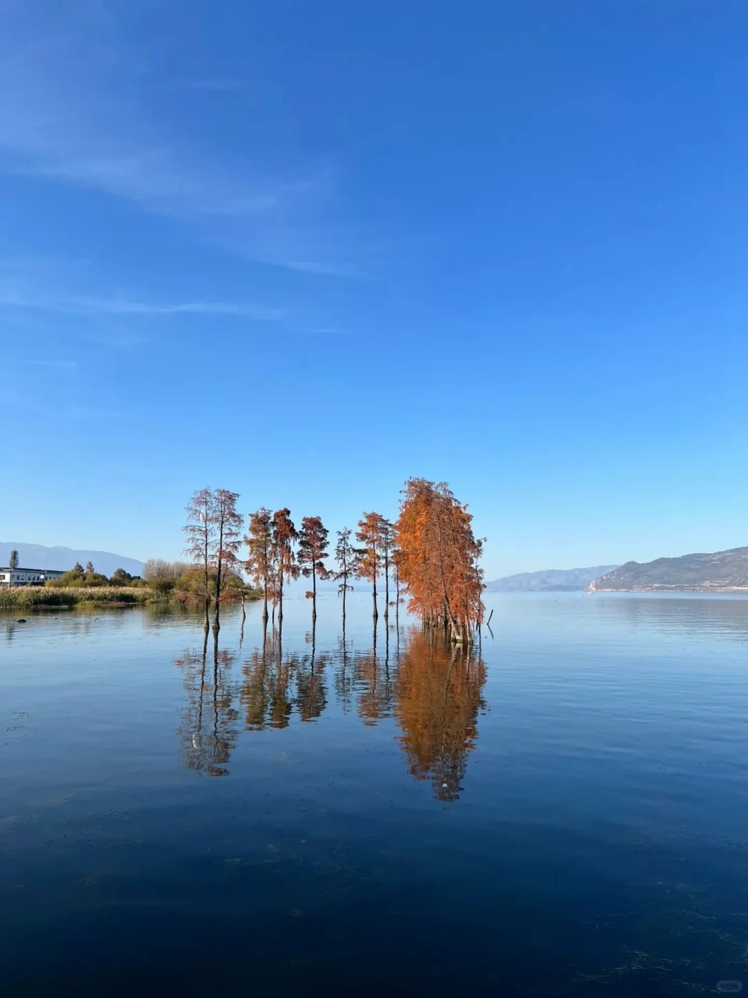 🍃云南夏日暴走指南5-7月预算党必备路线