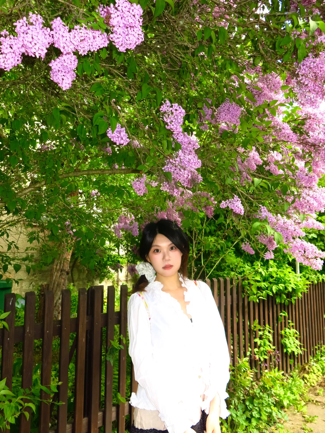 愿意为这一片草地来一万次魏玛