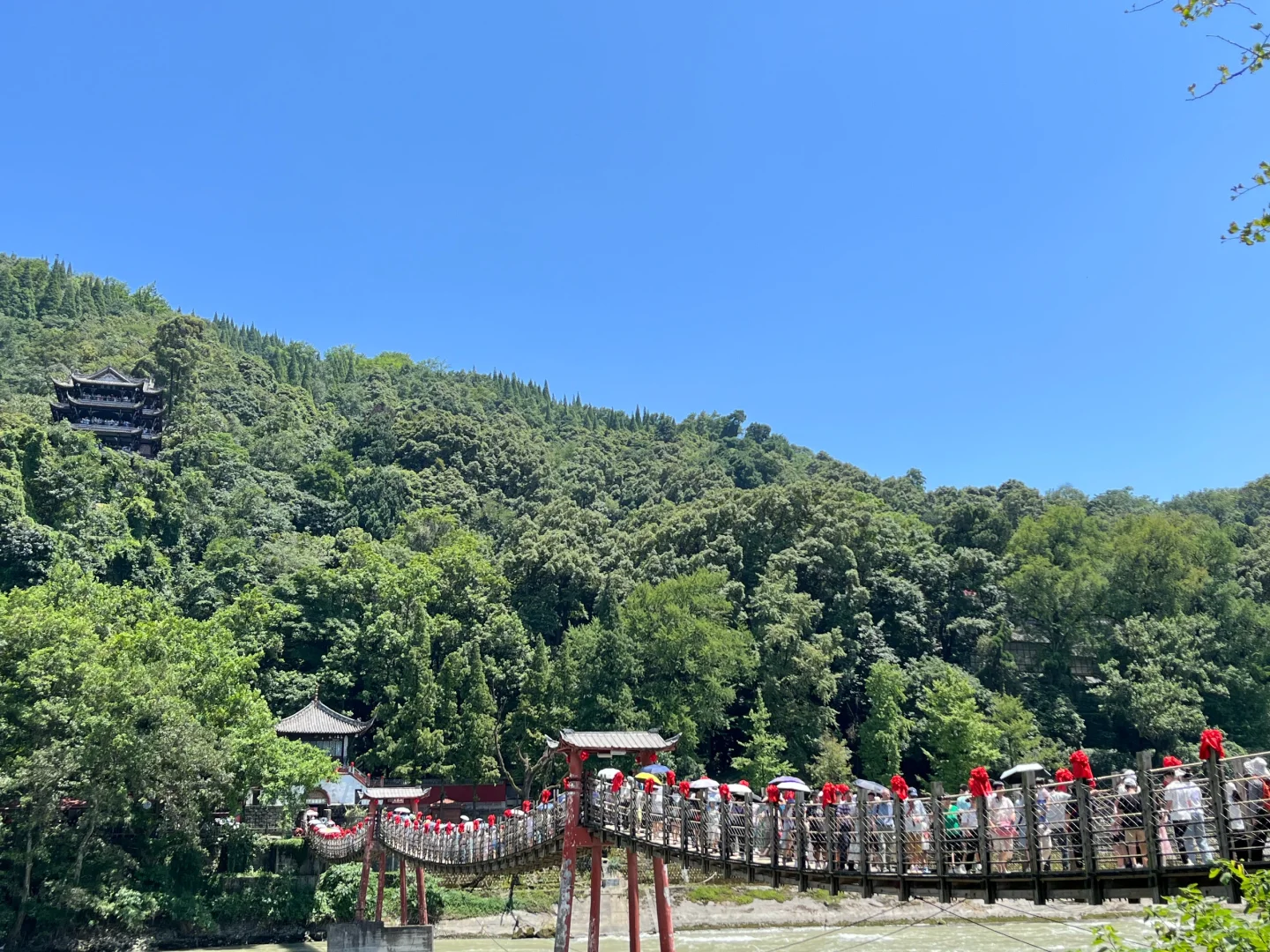 🆘…最近真心劝大家别再直接去都江堰熊猫谷