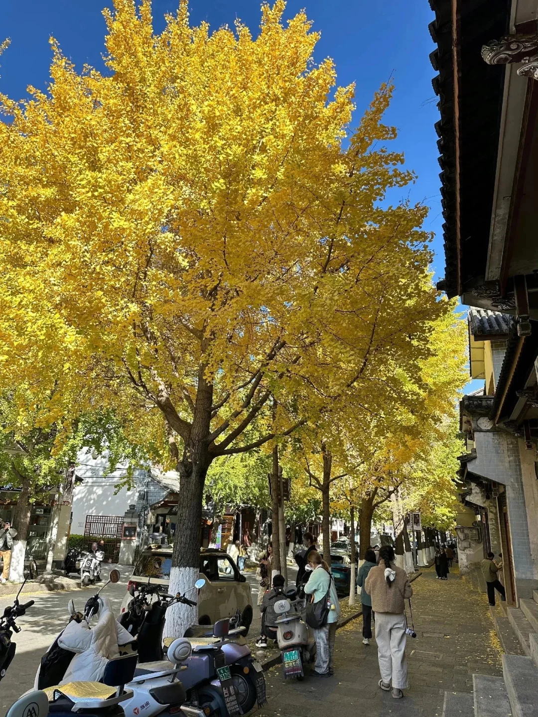 🍃云南夏日暴走指南5-7月预算党必备路线