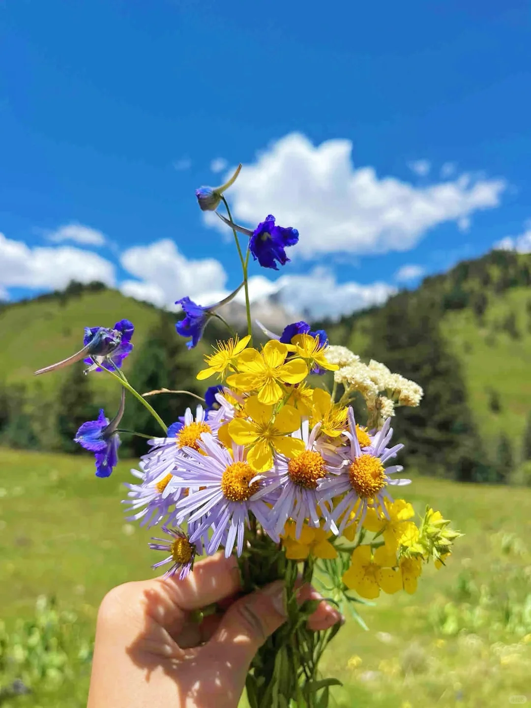 pyq都问疯了，川西爆火线路😭完全不输新疆