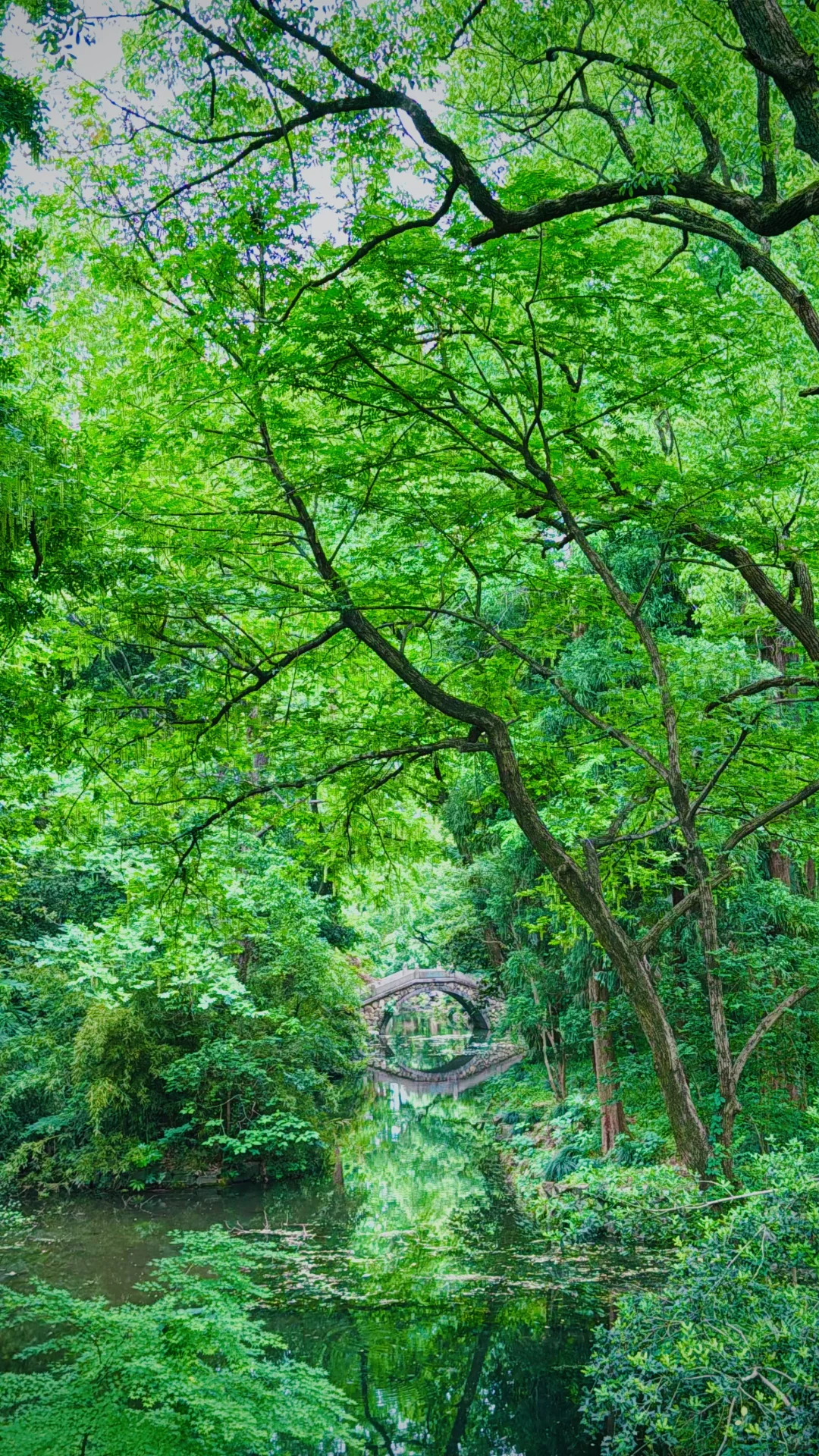 2025年5月4日在杭州的一天，打卡6个网红景点