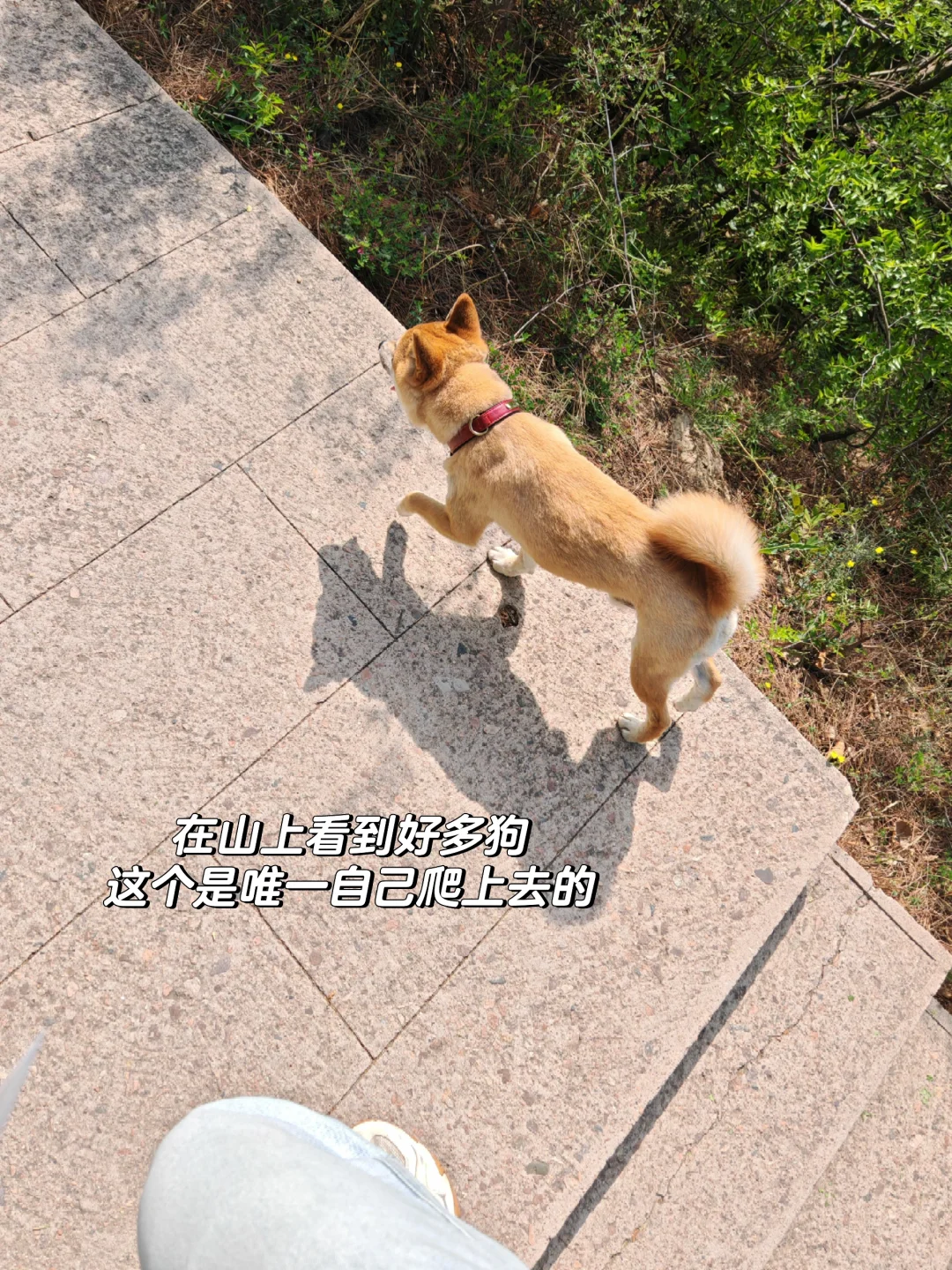 五一体验最好的景点——东太行