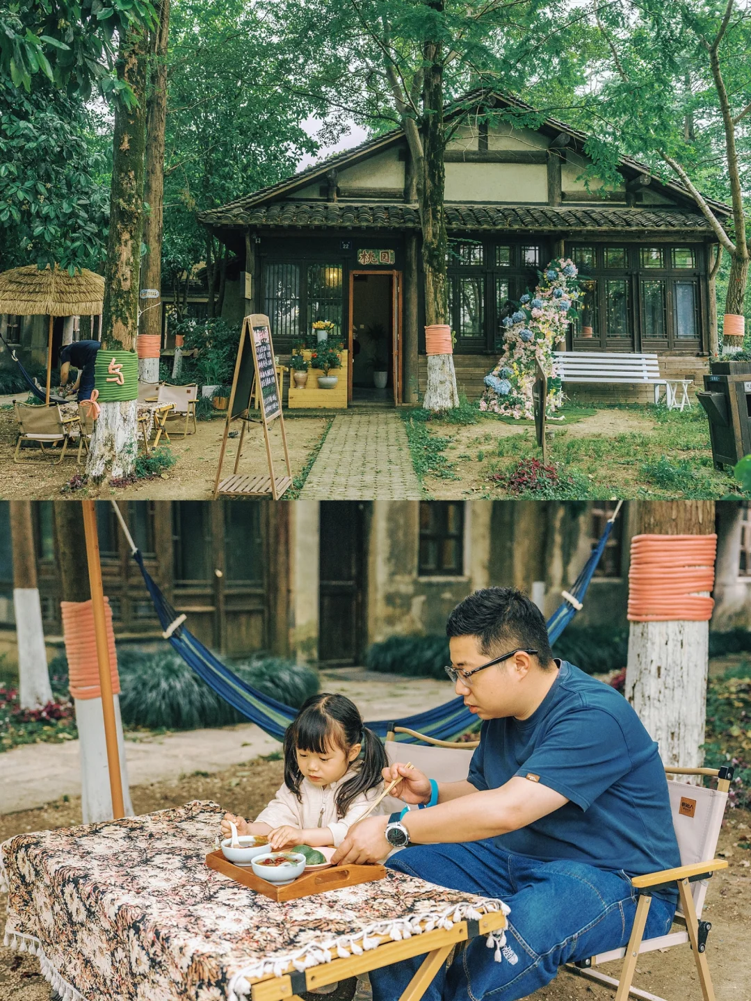 别再问乌村值不值得去了，真实体验过才知道