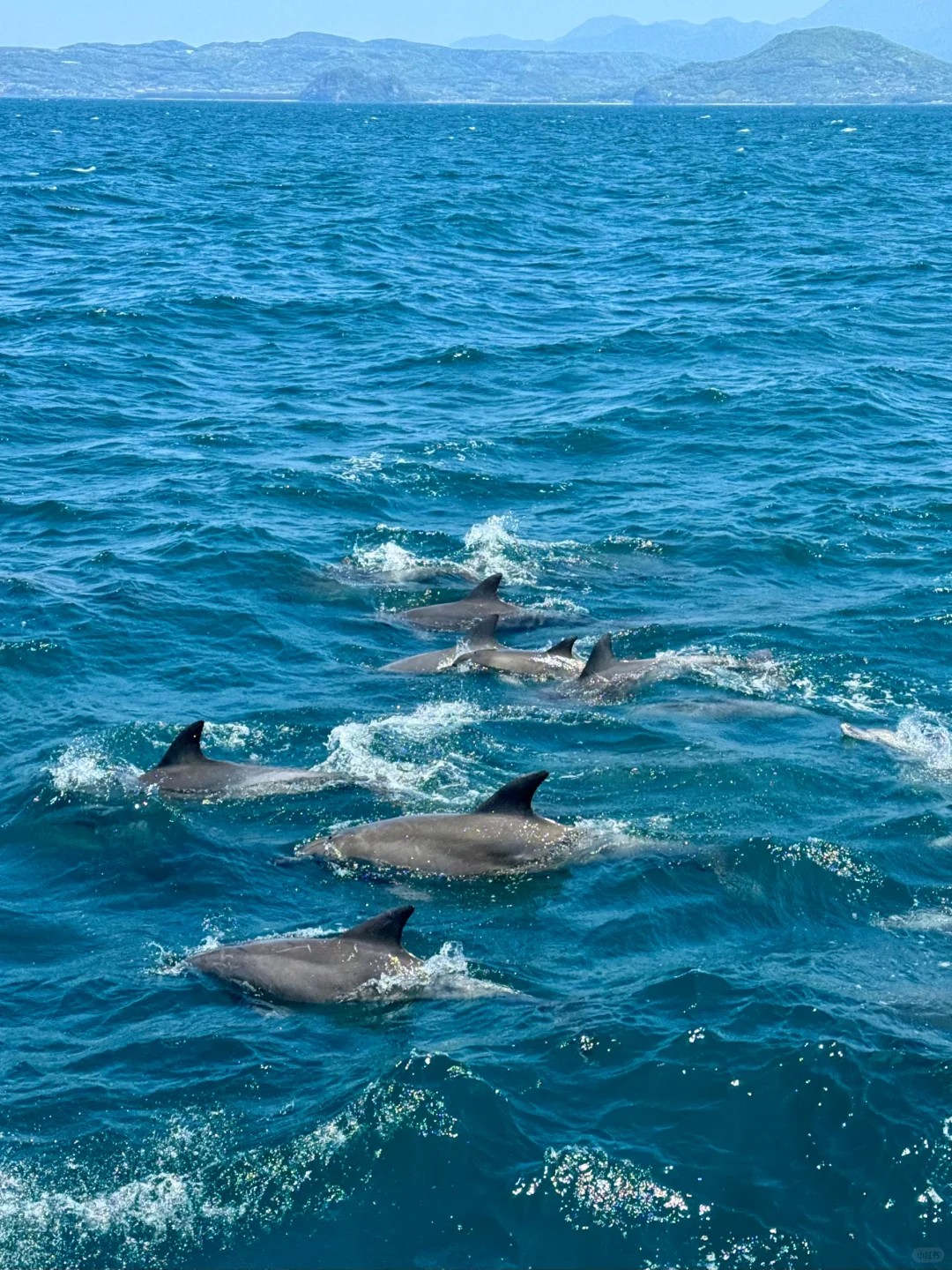 日本旅行的精髓是乡下，自诩完美的九州行程