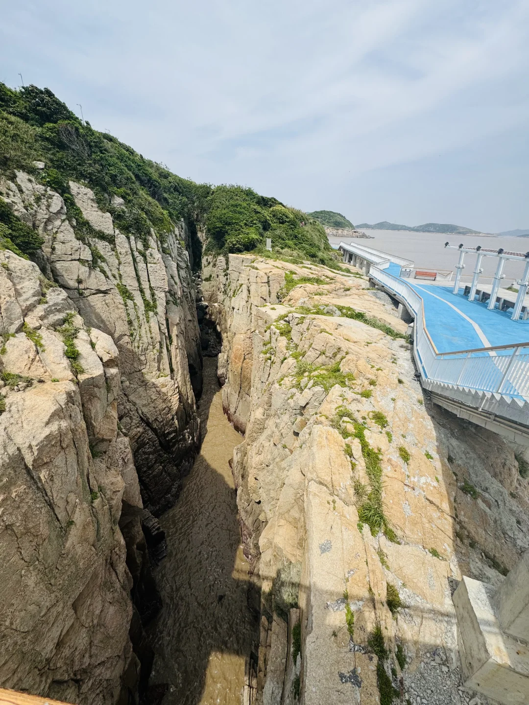 误入童话里的绿野仙踪🏝️衢山岛攻略请查收