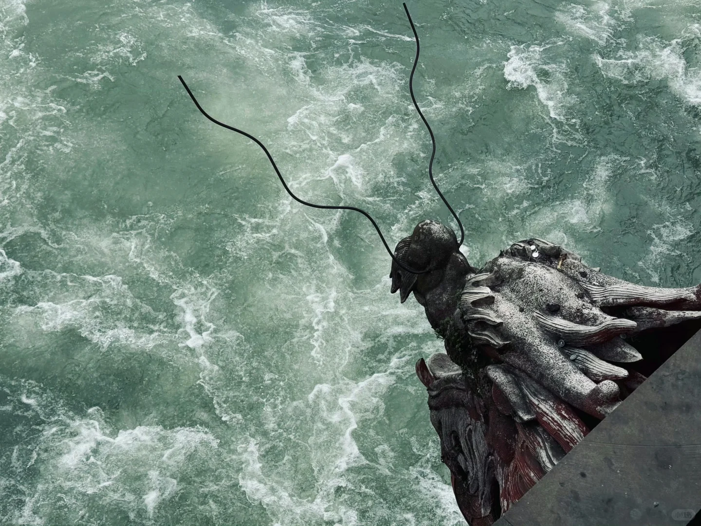 🆘…最近真心劝大家别再直接去都江堰熊猫谷