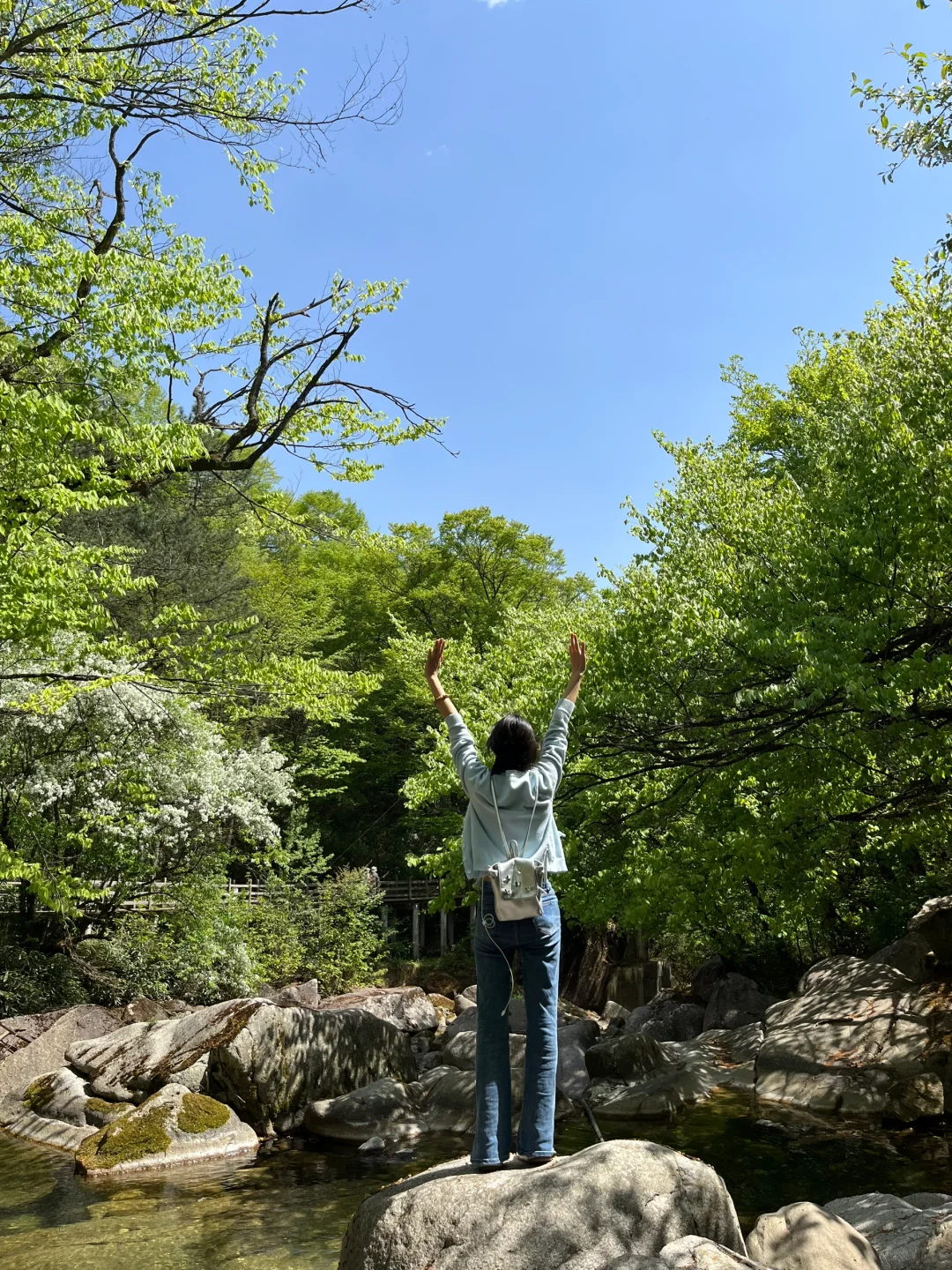 光雾山｜藏在深山的5A级景区⛰️