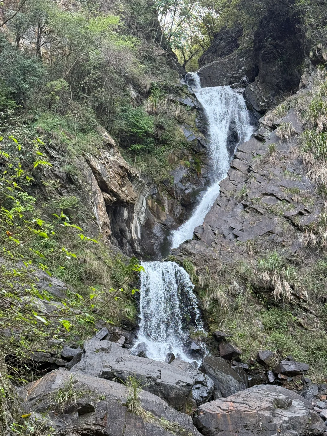 带狗自驾第十站之池州｜处处景色都很漂亮