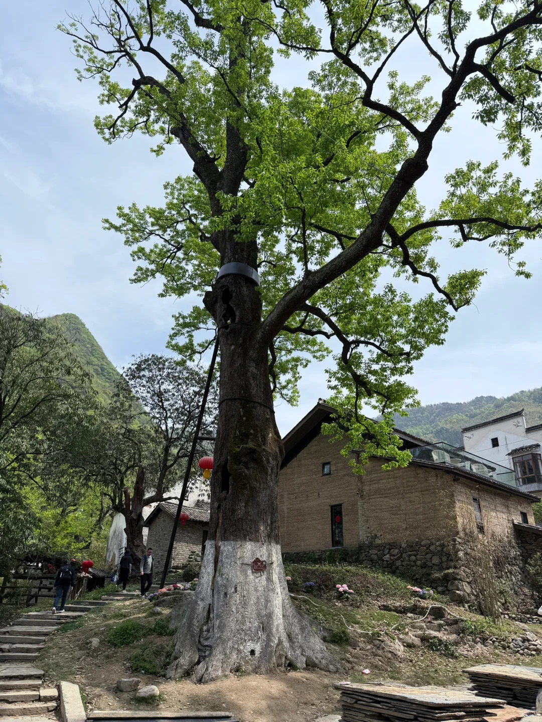 带狗自驾第十站之池州｜处处景色都很漂亮