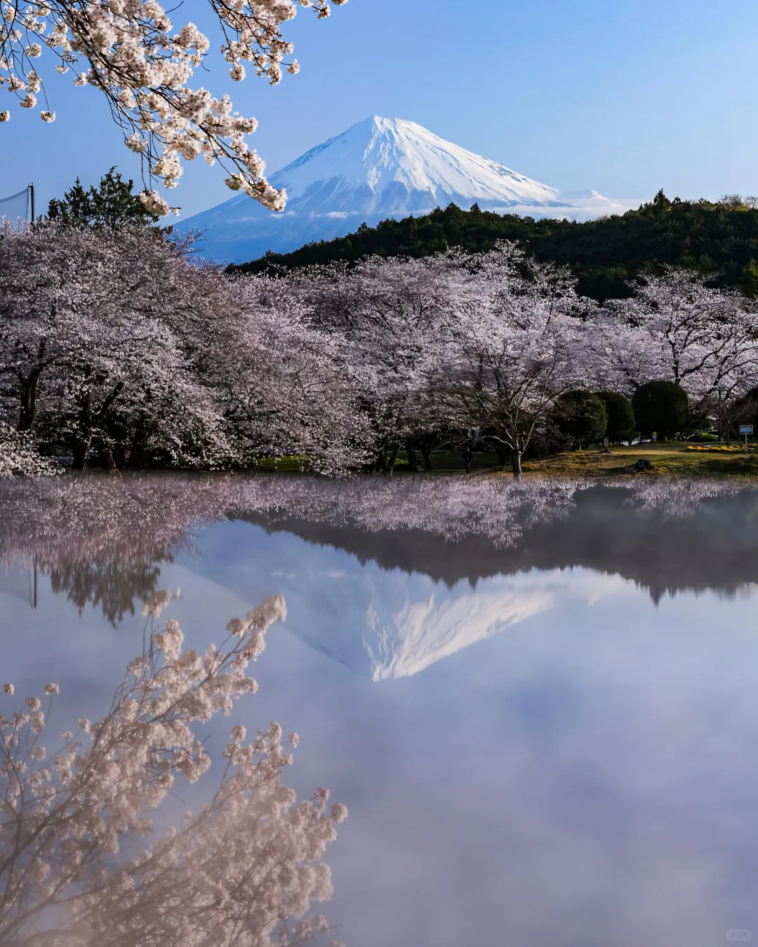 🚗富士山拼车游 | 一站式打卡绝美景点