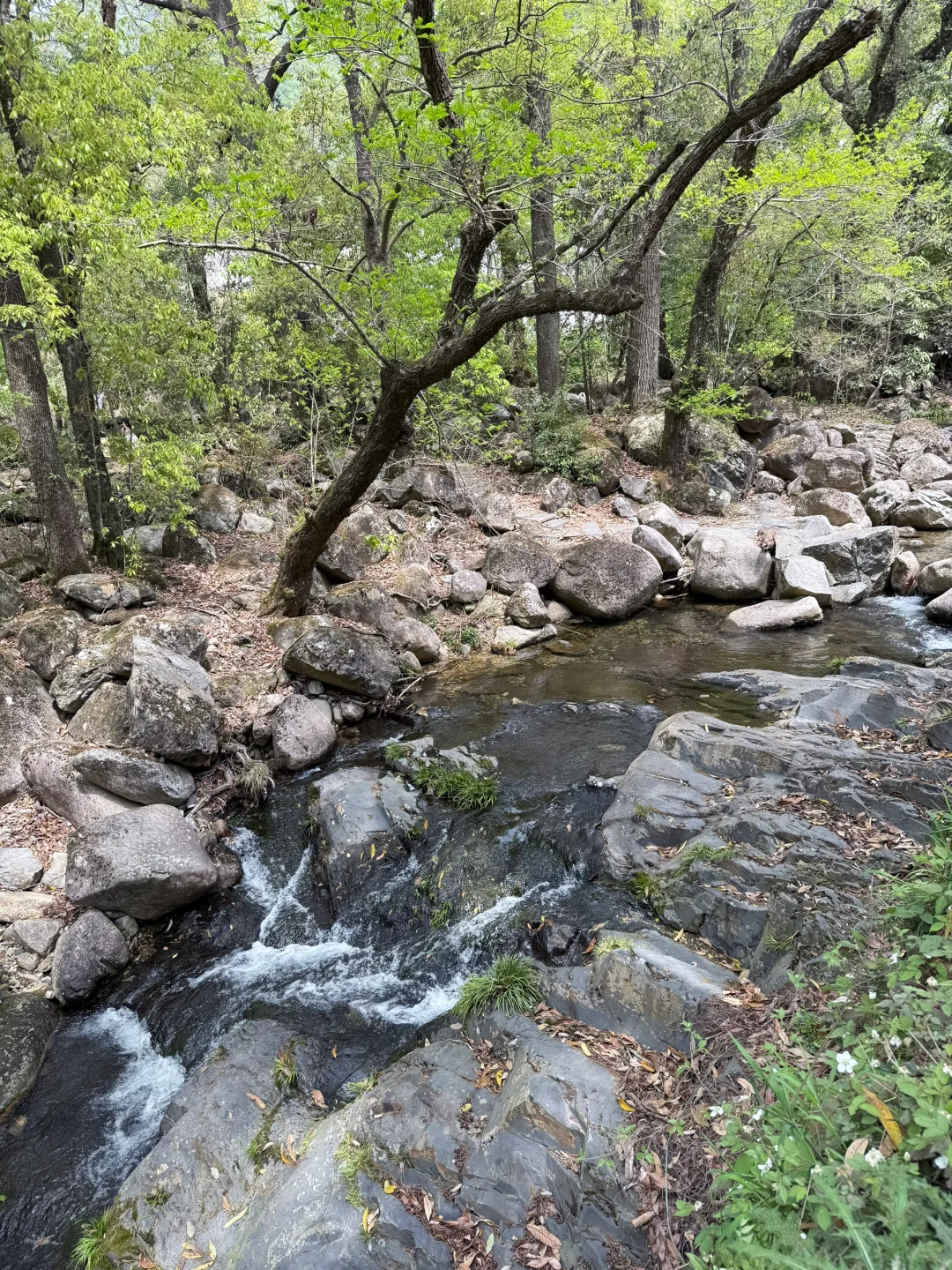 带狗自驾第十站之池州｜处处景色都很漂亮