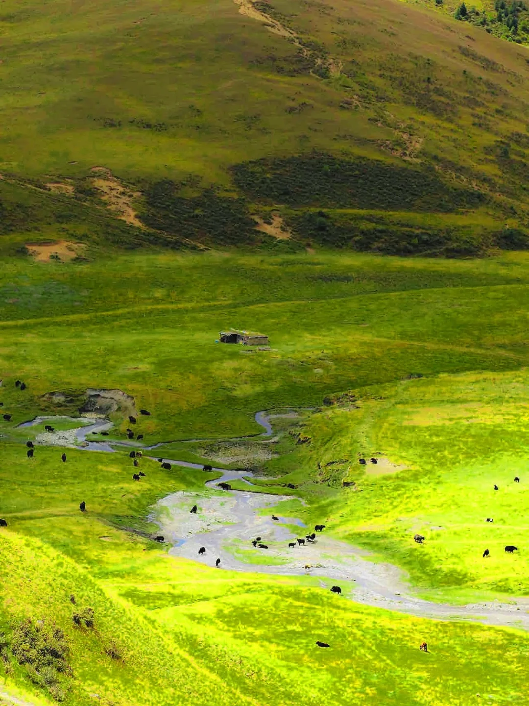 pyq都问疯了，川西爆火线路😭完全不输新疆