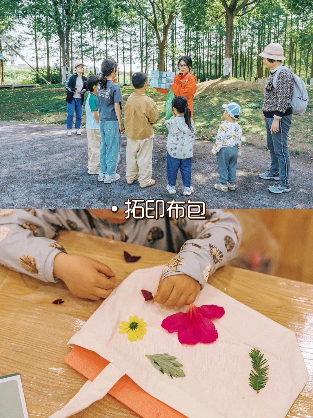 别再问乌村值不值得去了，真实体验过才知道