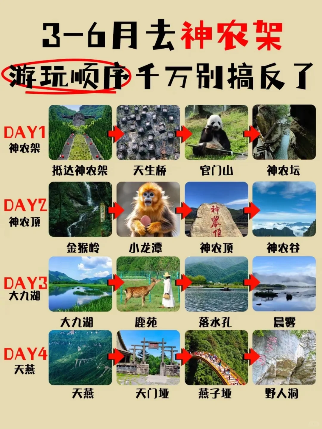 原始森林地质与奇观