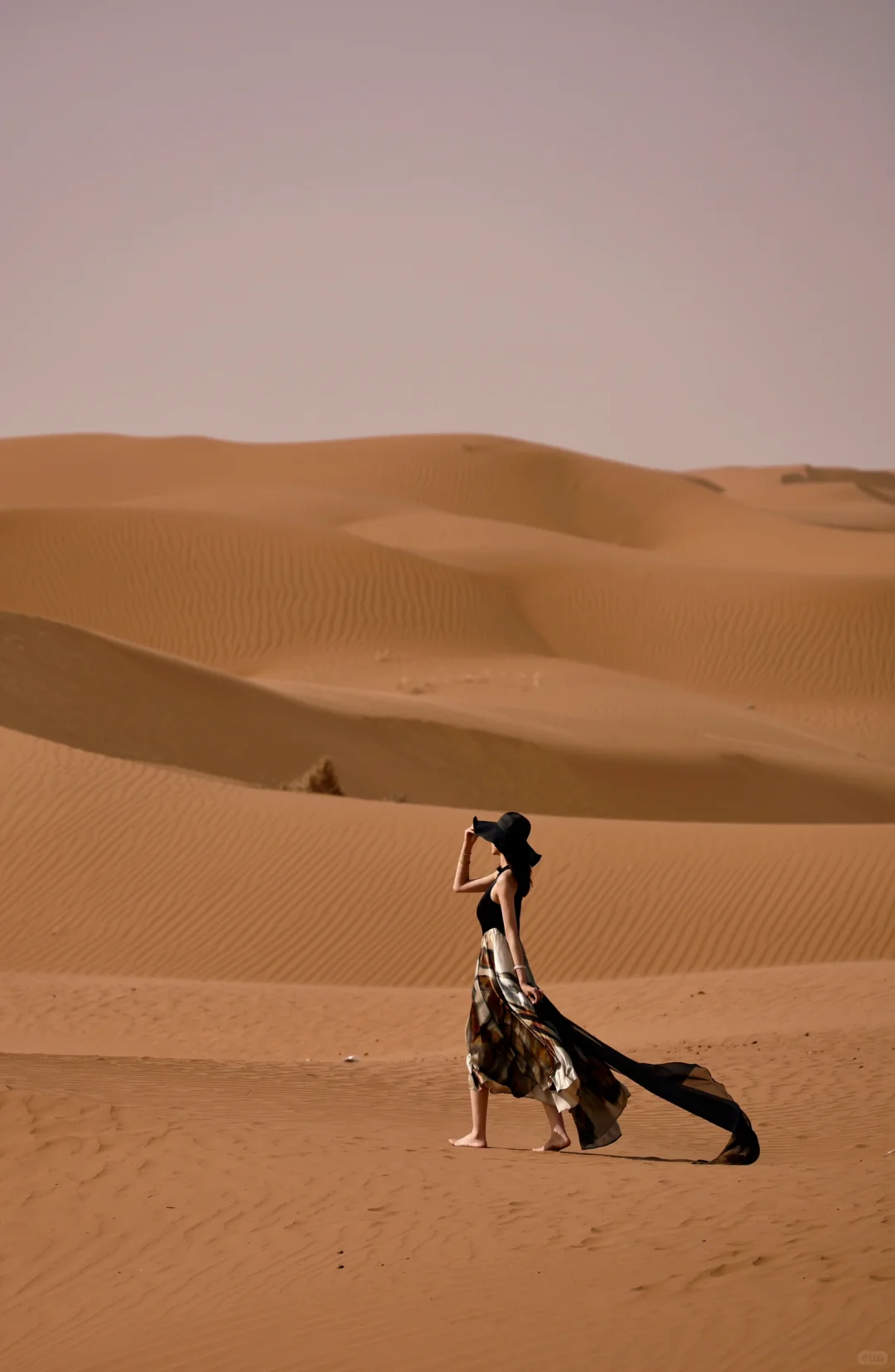 我的沙漠日记💃🐫
