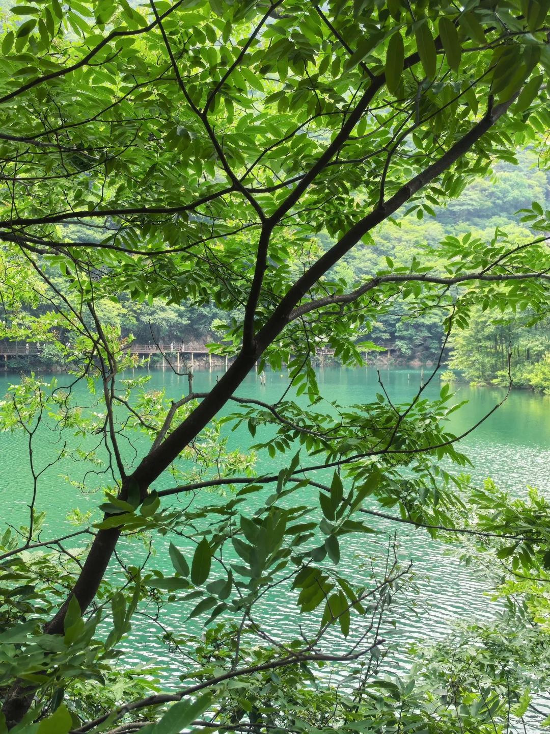 避开人群去旅游之五一躲进大别山