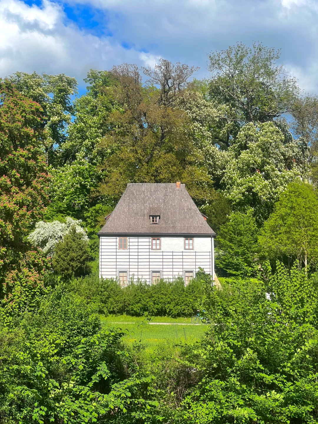 愿意为这一片草地来一万次魏玛