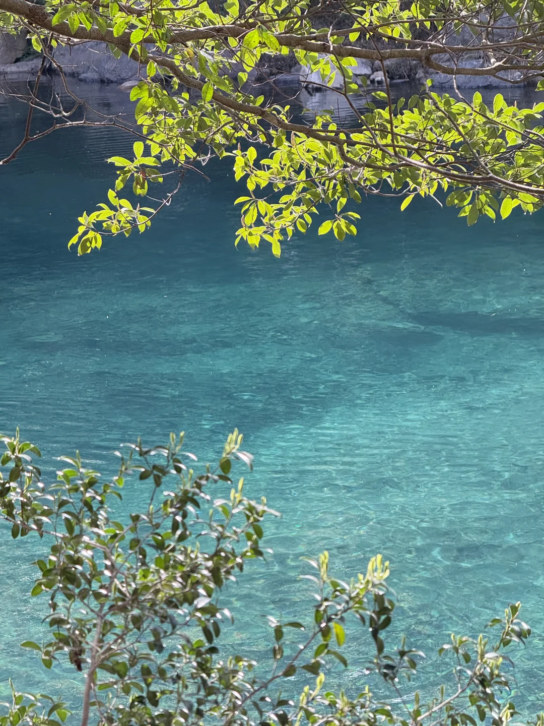 带狗自驾第十站之池州｜处处景色都很漂亮