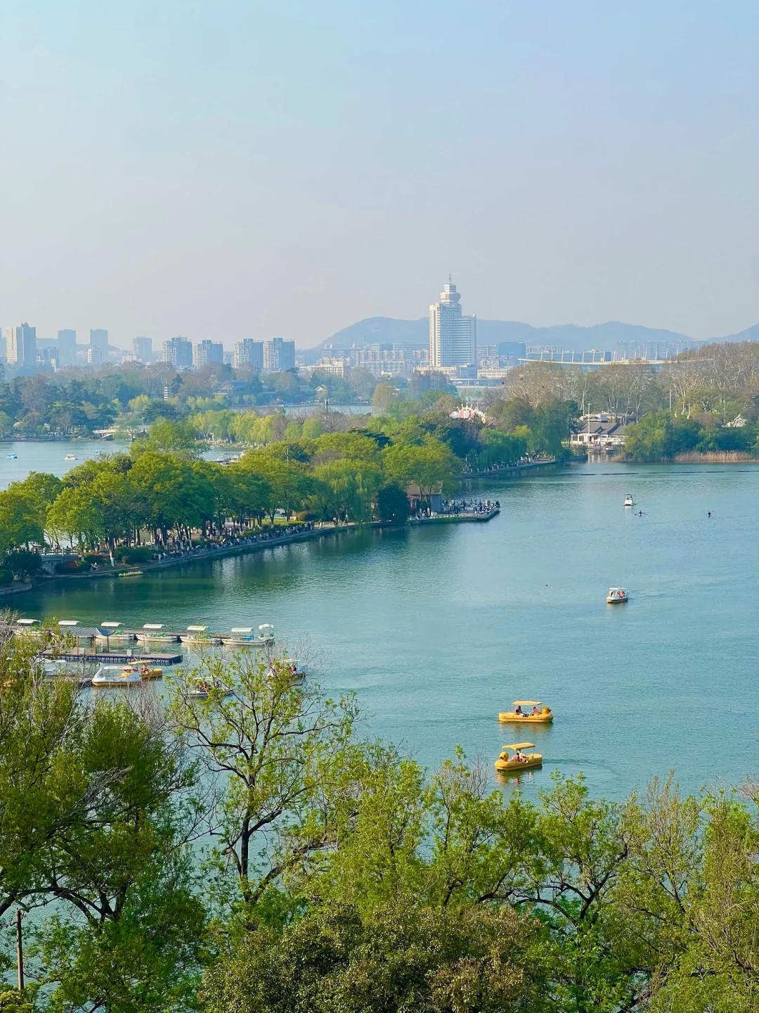 人生建议📸拍完这1️⃣8️⃣张图再离开南京