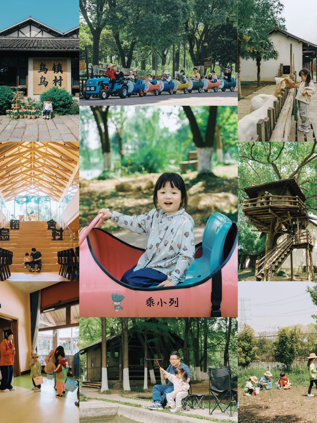 别再问乌村值不值得去了，真实体验过才知道