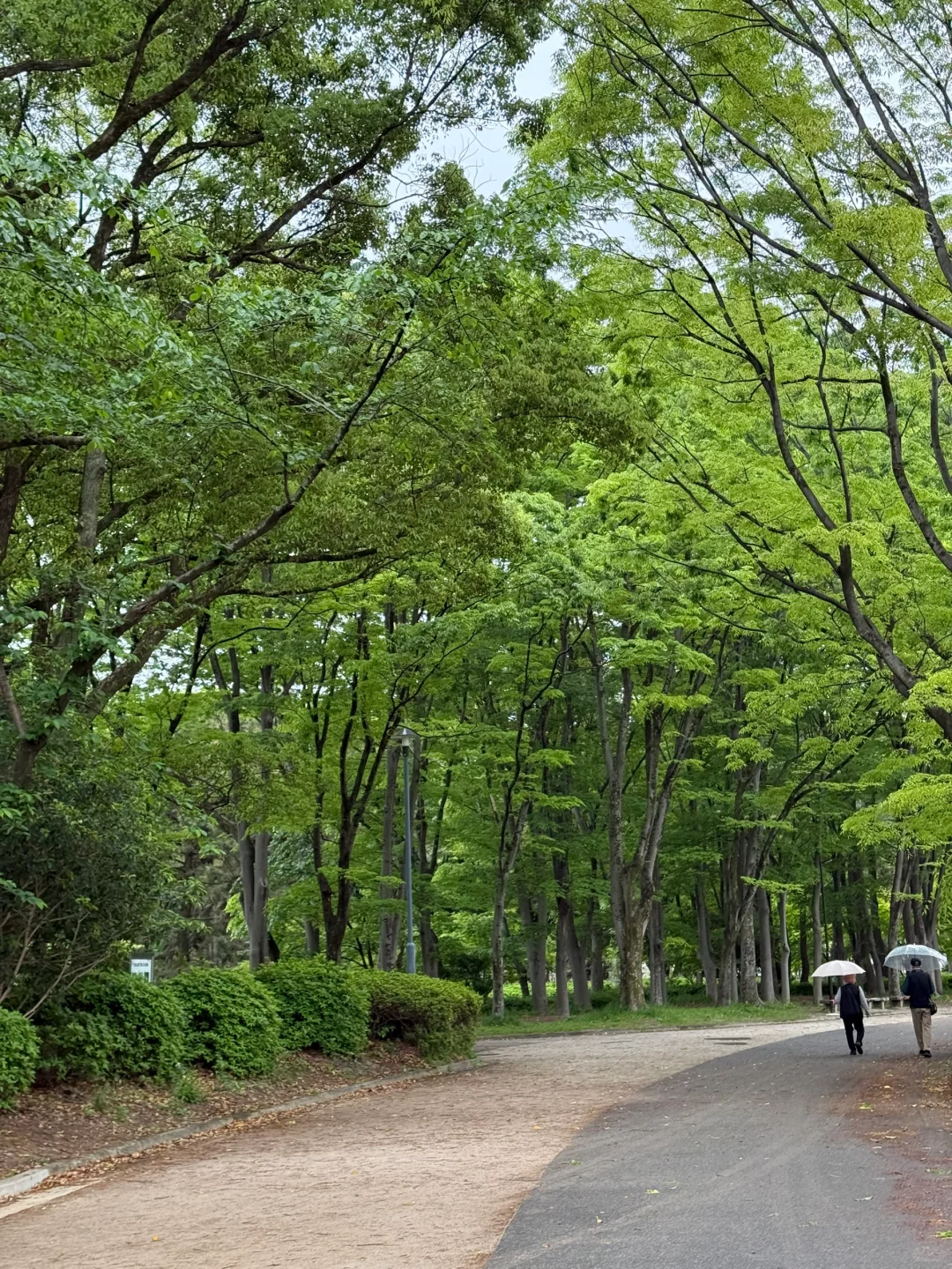 名古屋唯一去成的景点