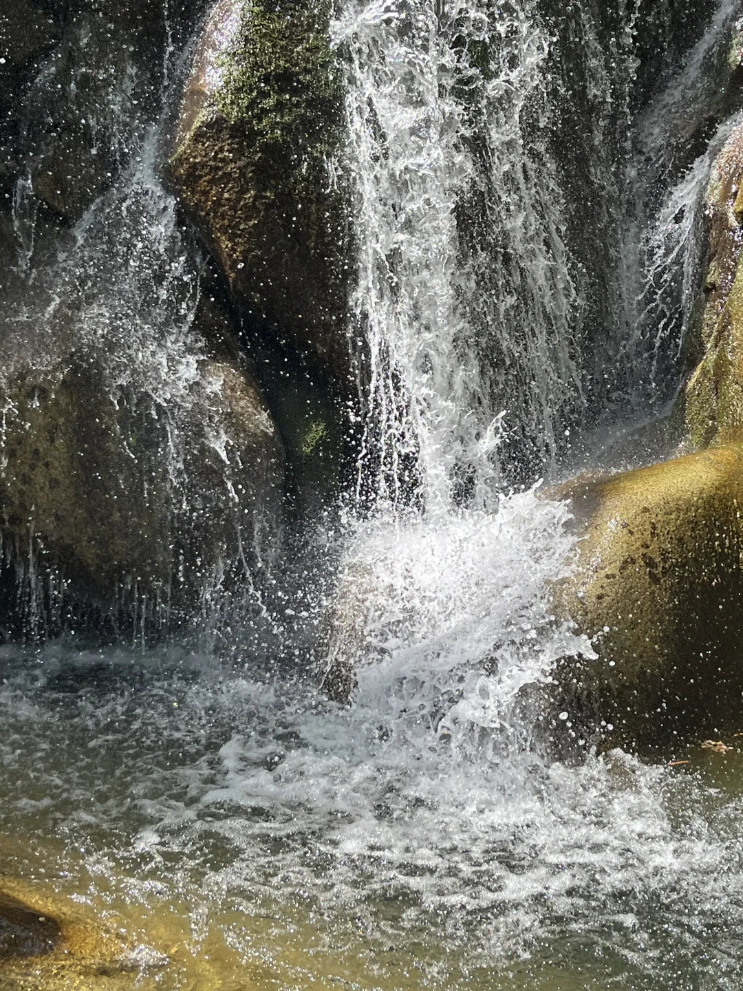 光雾山｜藏在深山的5A级景区⛰️