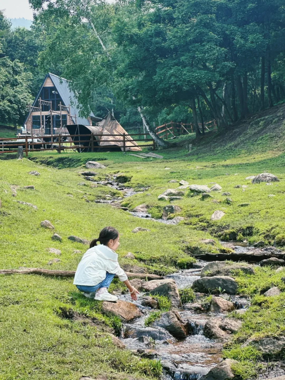 今年暑假，我只带娃去一个地方：伊春🥳