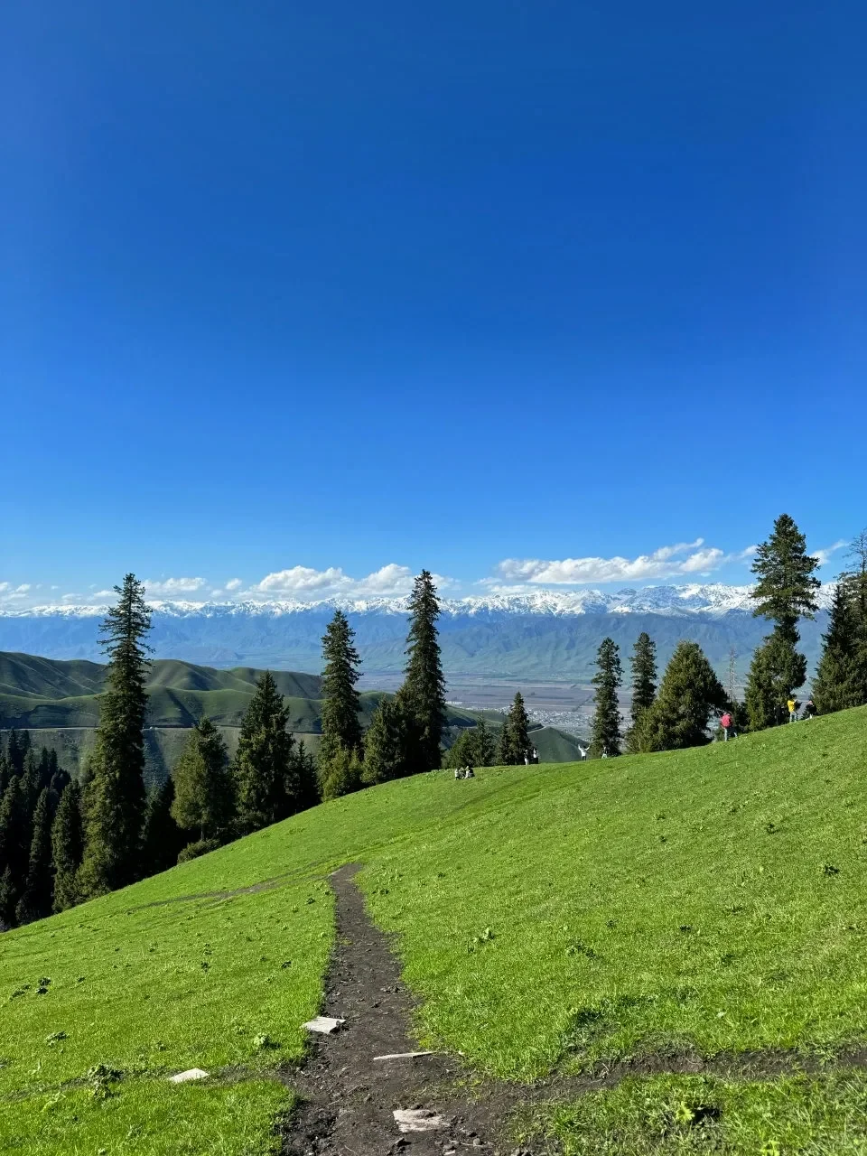 新疆逃难已回，说点让人奔溃的😭事