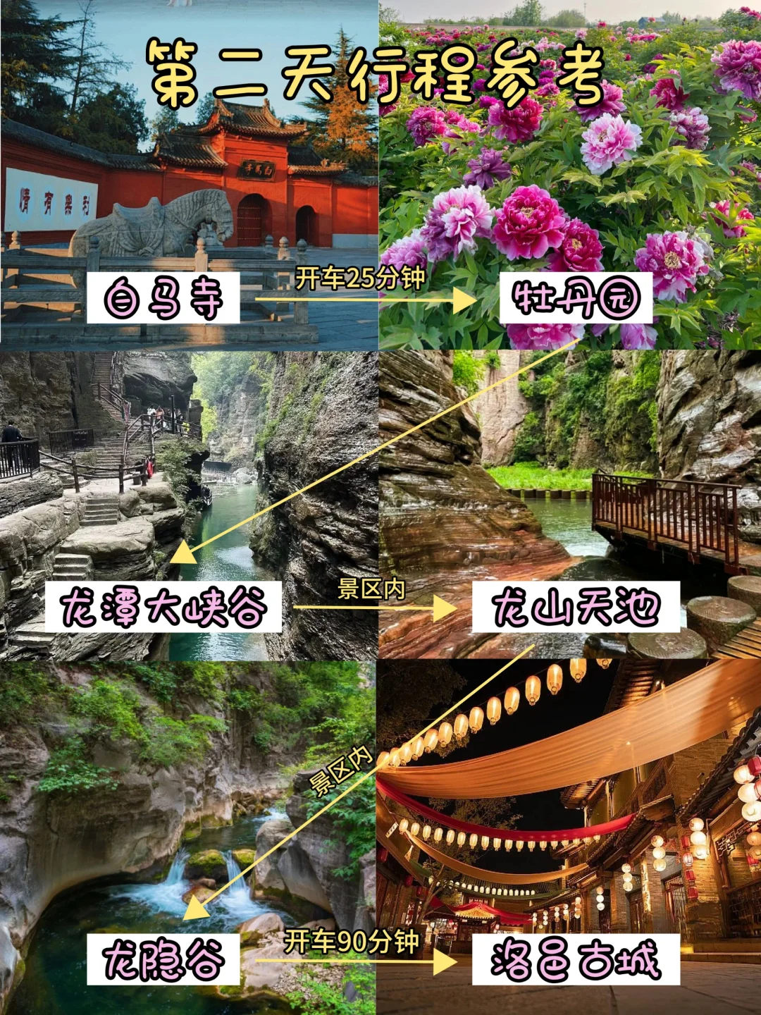 3-5月想来洛阳，看这篇超全攻略就够了🔥