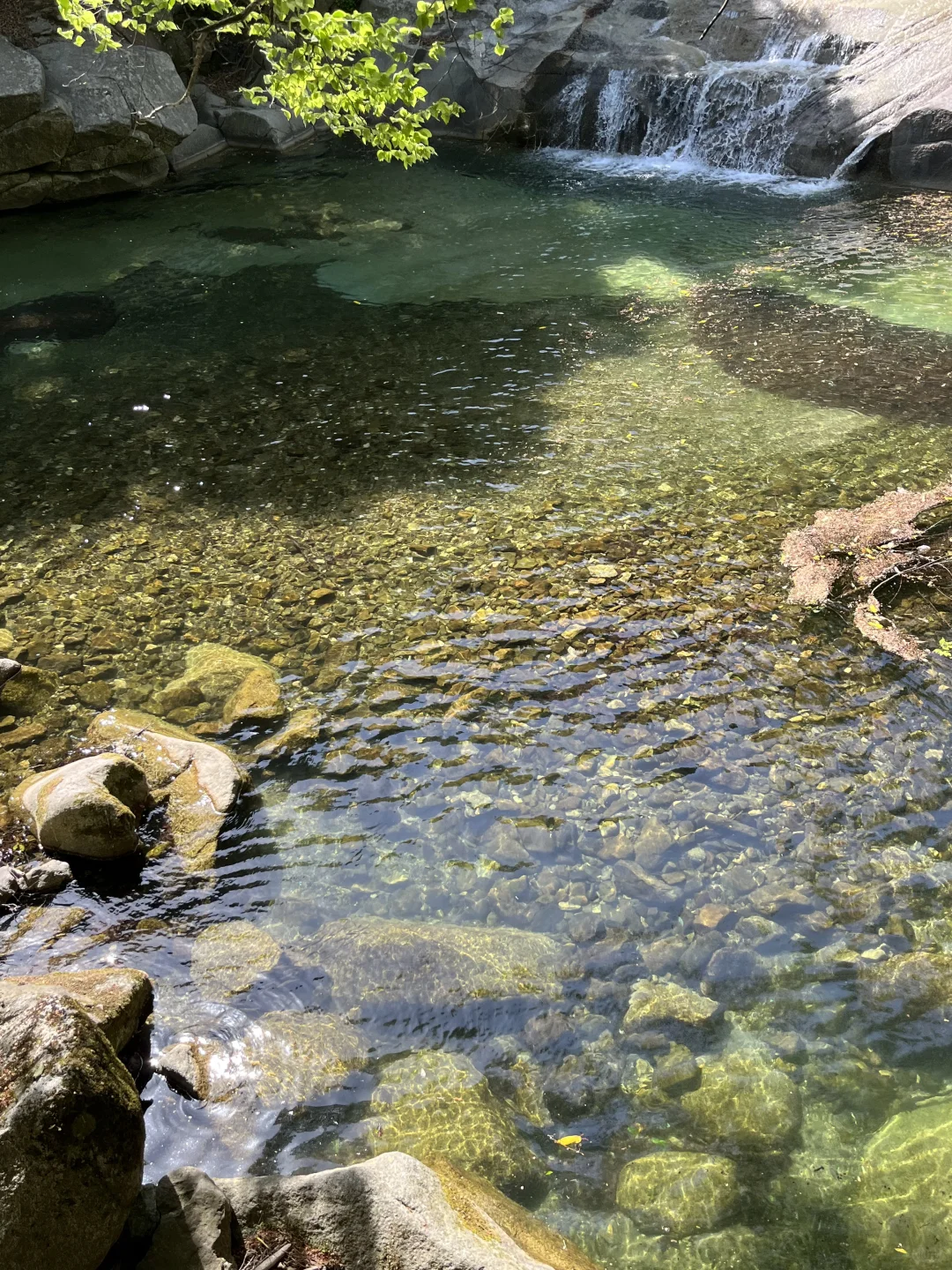 光雾山｜藏在深山的5A级景区⛰️