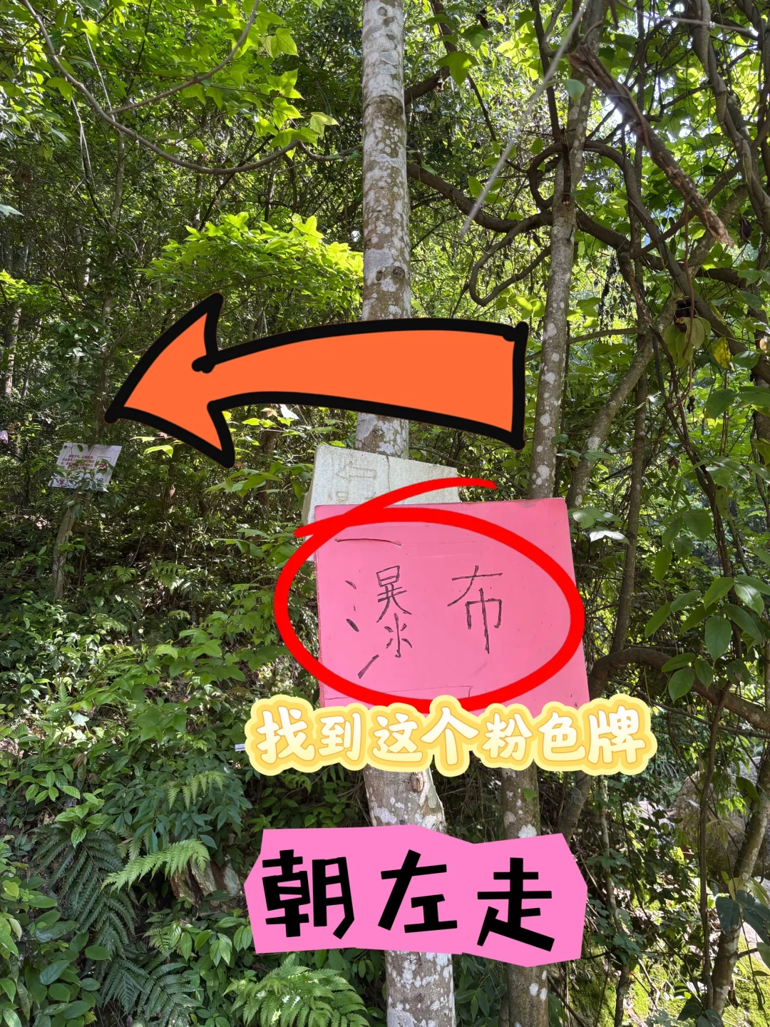 每周一山‼️大金华市内藏有峡谷瀑布悬空栈道