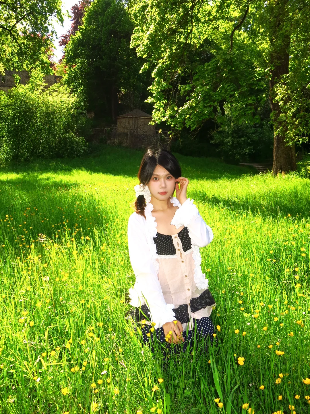 愿意为这一片草地来一万次魏玛