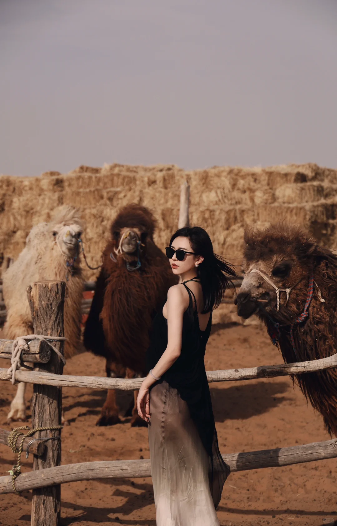 我的沙漠日记💃🐫