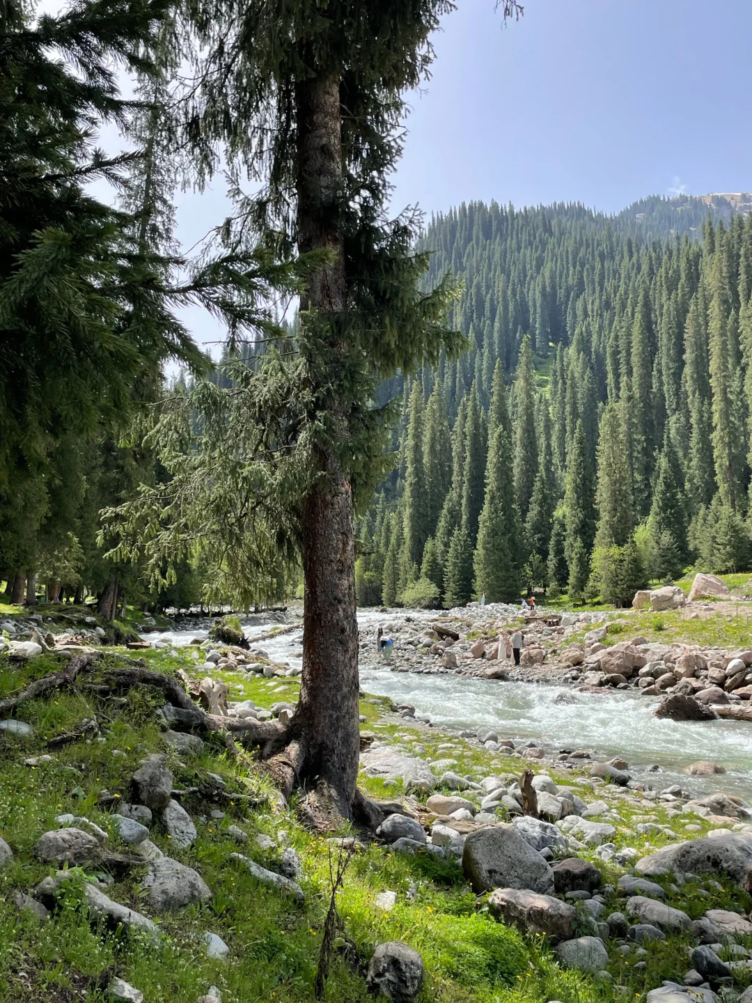 新疆逃难已回，说点让人奔溃的😭事