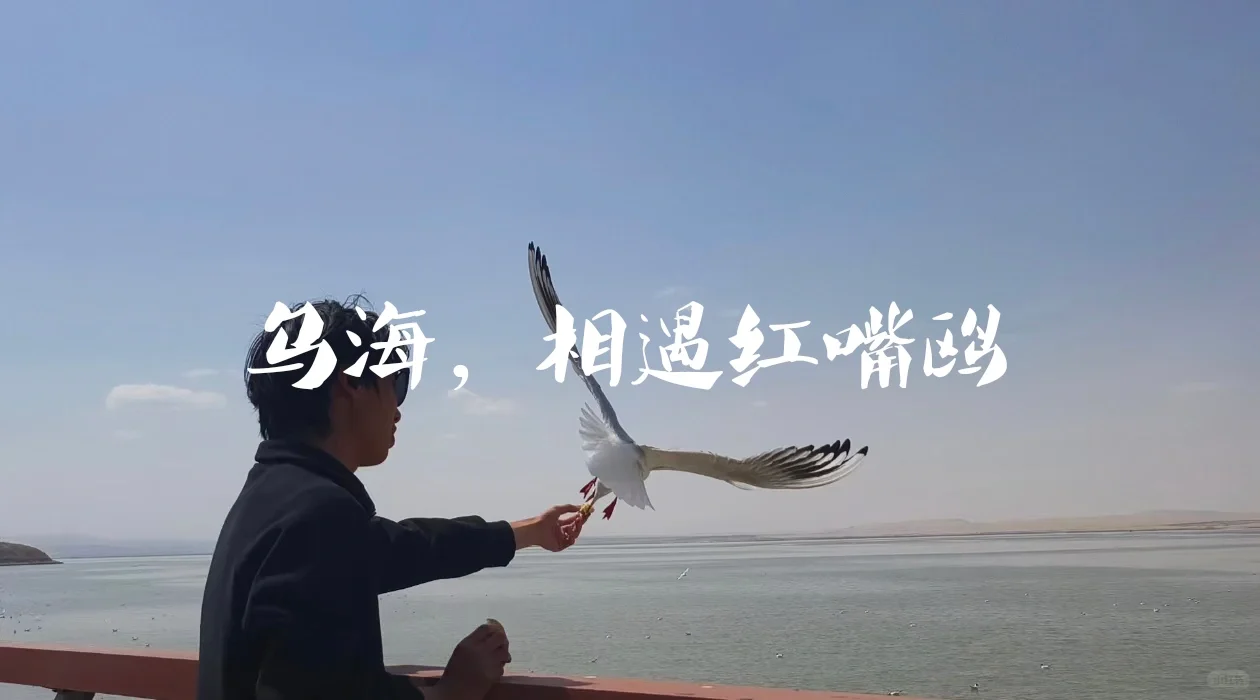 人生不过3w天,不为任何,只为自由