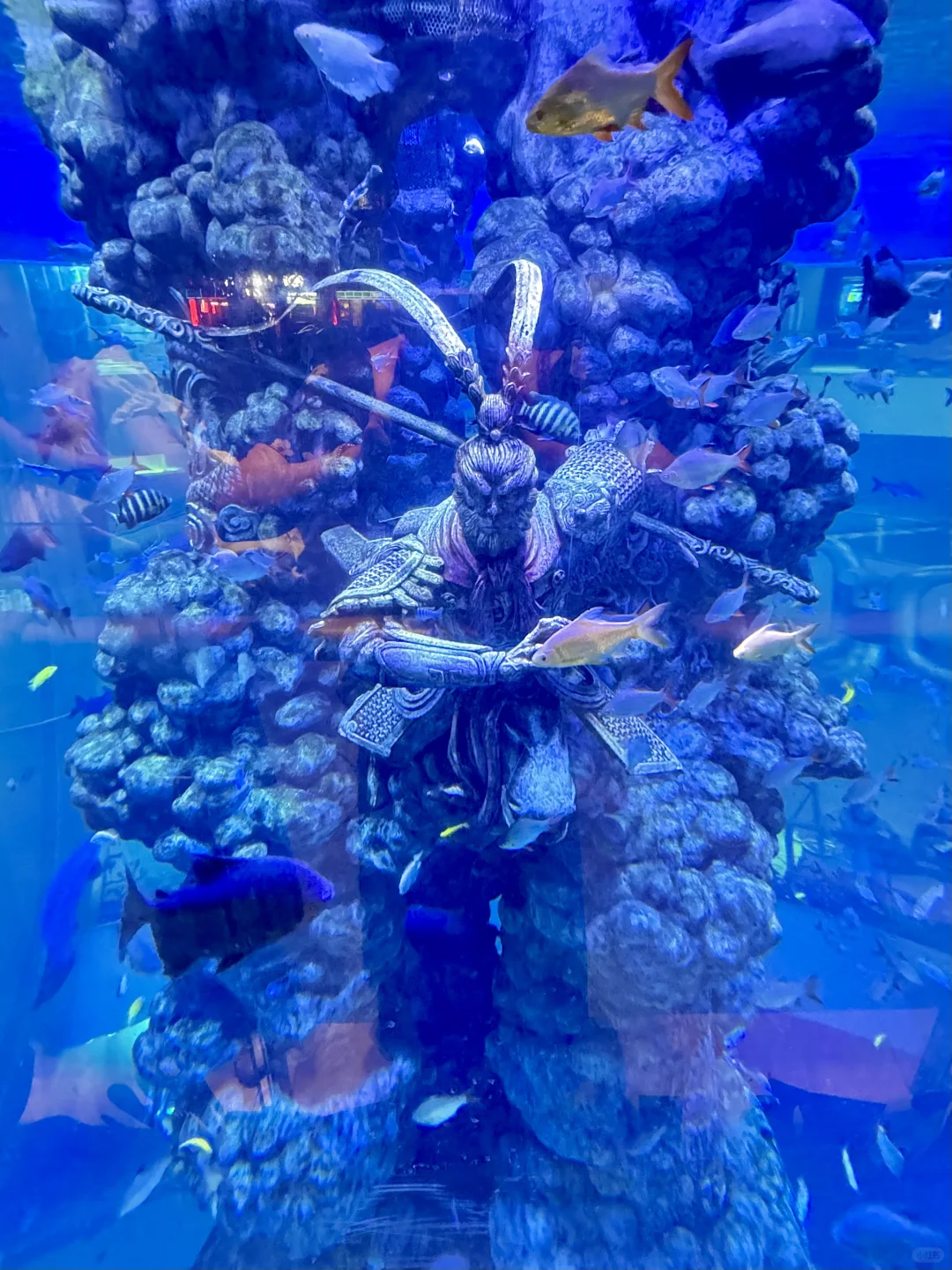 南昌那些充满生命力的打卡地……🥹🥹(合集)