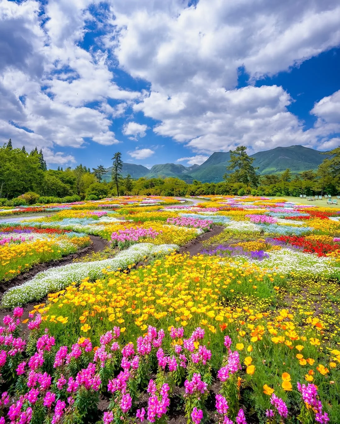 天呀！🌸这是真实存在的花花调色盘呐！