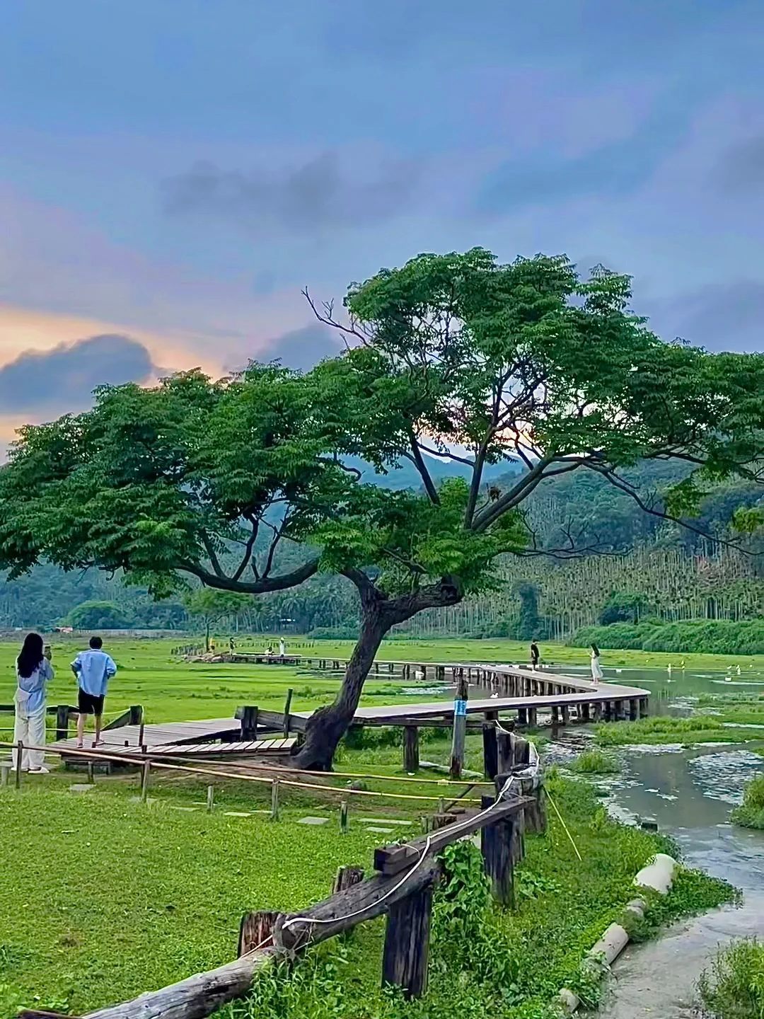 淡季的万宁真的是人间理想!!!(live图实拍)